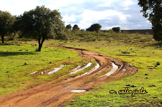 02, en la loma del pino, marca