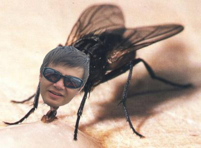 acuamosca acuamosca