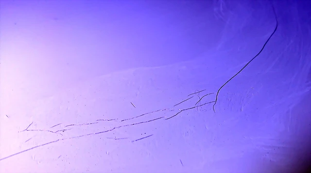 _20190928_232645 _20190928_232645
