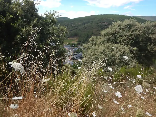 DSCN3843 DSCN3843