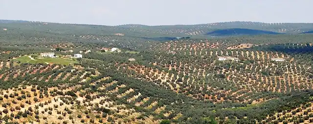 005, charcones de sde huerta franca