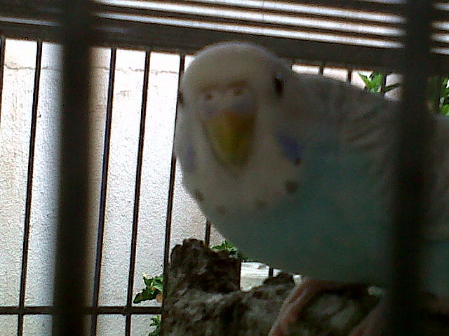 IMG00015-20101008-1623