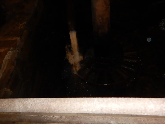 DSCN3459 DSCN3459