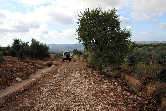 camino abajo