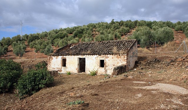 cortijo de gorila