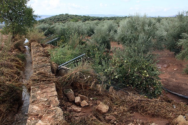 huerta del chiclanero