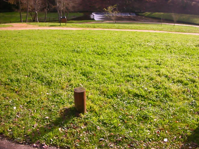 DSCN1096 DSCN1096