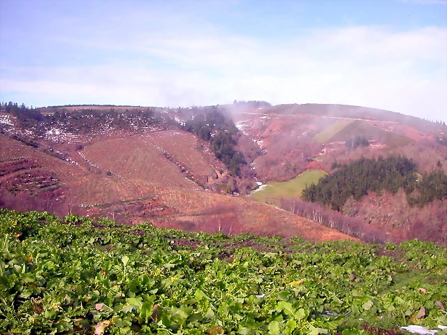 DSCN1054 DSCN1054