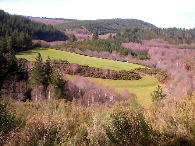 DSCN1073 DSCN1073