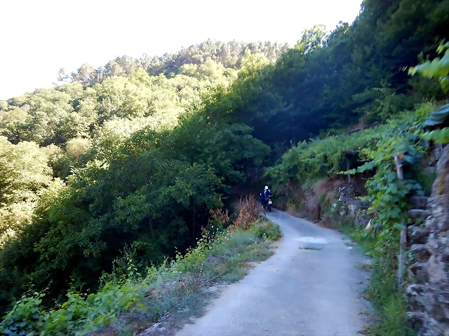 DSCN4204 DSCN4204