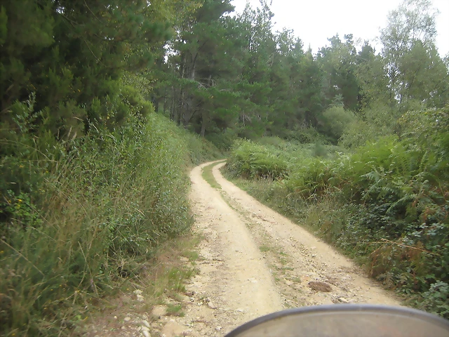 IMG_0448 IMG_0448