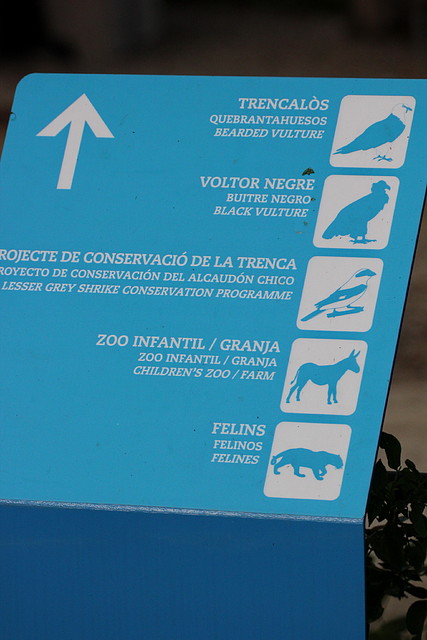 Zoo Barcelona 29-11-11 194 Zoo Barcelona 29-11-11 194