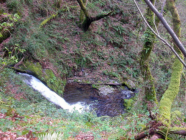DSCN6137 DSCN6137