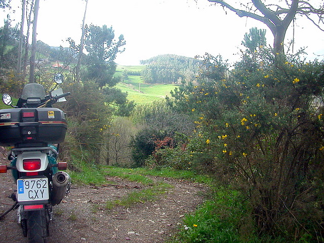 DSCN6171 DSCN6171