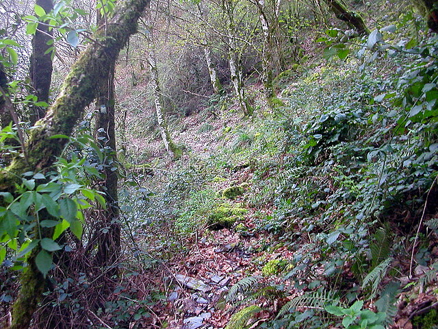 DSCN6153 DSCN6153