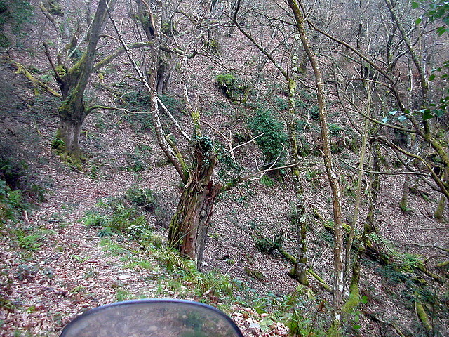 DSCN6117 DSCN6117