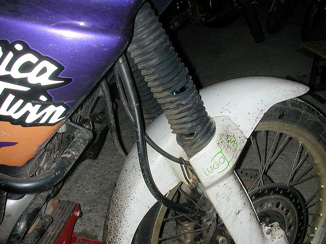 DSCN4726 DSCN4726