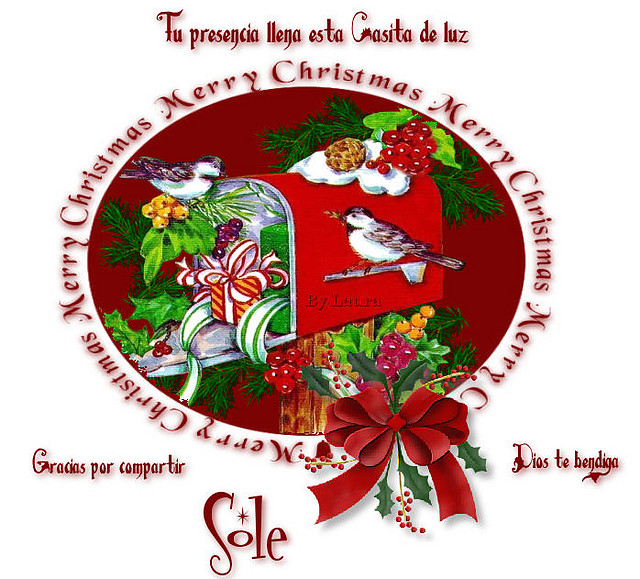 Sole-1 Sole-1
