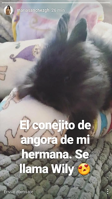 Mar?a IG Stories 27-2-2017