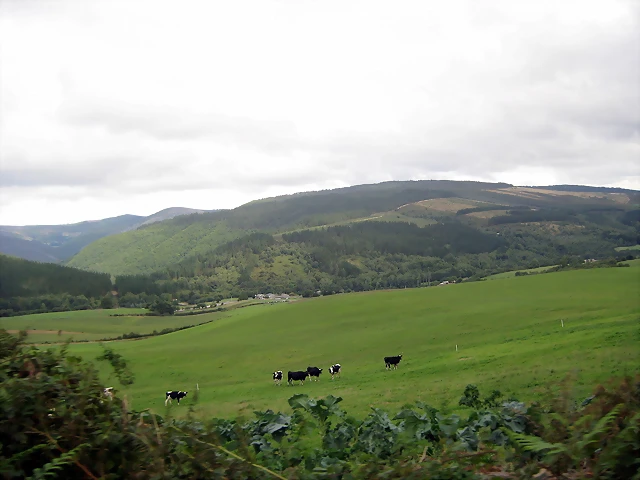 IMG_0466 IMG_0466
