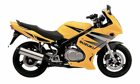 Suzuki GS 500F 2004