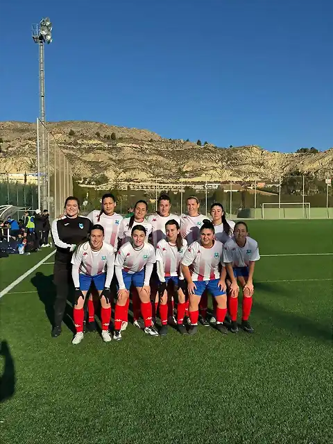 MULFEM24-1