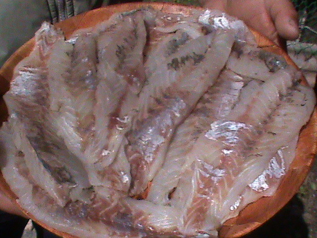 DSC00475 DSC00475