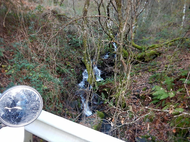 DSCN3317 DSCN3317