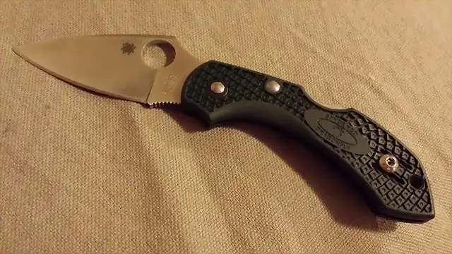 Spyderco Dragonfly 2 ZDP