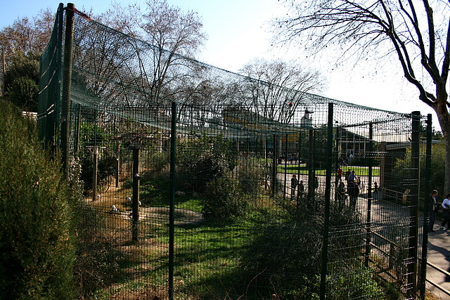 Zoo de Barcelona 27-02-11 158 Zoo de Barcelona 27-02-11 158