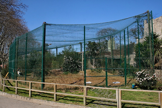Zoo de Barcelona 27-02-11 141 Zoo de Barcelona 27-02-11 141