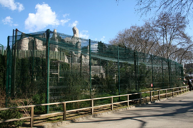 Zoo de Barcelona 27-02-11 156 Zoo de Barcelona 27-02-11 156