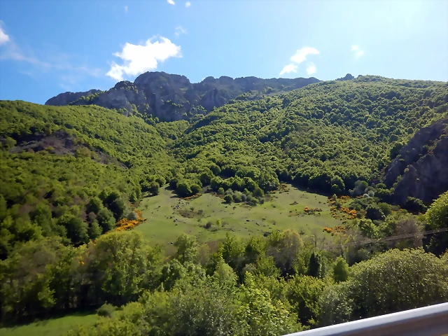 DSCN2222 DSCN2222