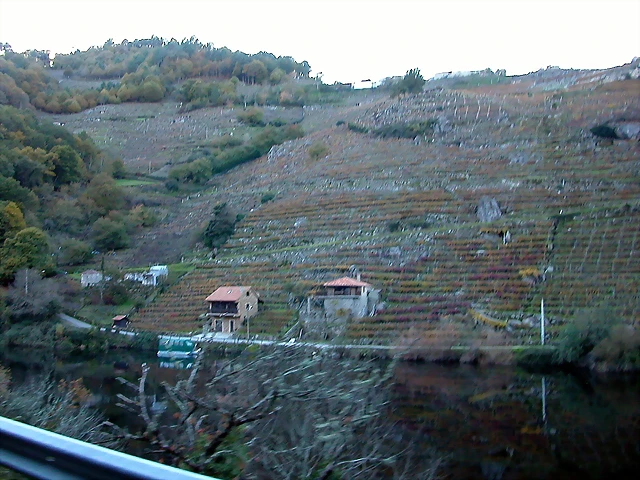 DSCN6480 DSCN6480