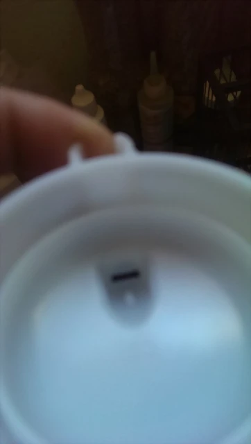 IMAG1735 IMAG1735