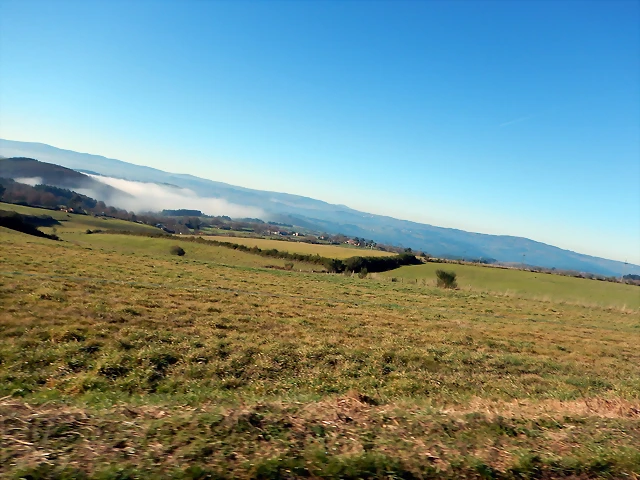 DSCN1099 DSCN1099