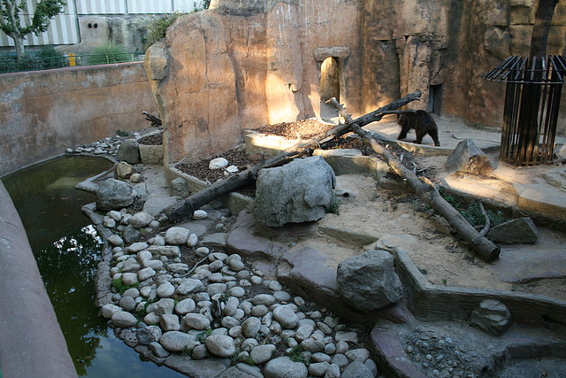 Zoo de Barcelona 17-07-2010 196 Zoo de Barcelona 17-07-2010 196