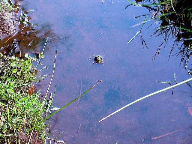DSCN5286 DSCN5286