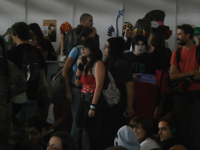 Festival del manga 2013 5 Festival del manga 2013 5