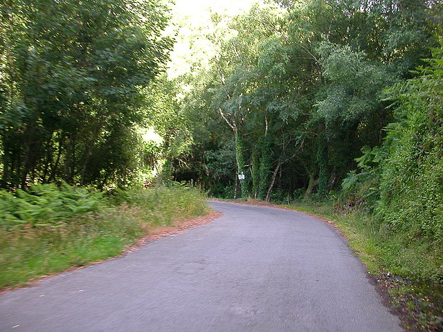 DSCN1862 DSCN1862