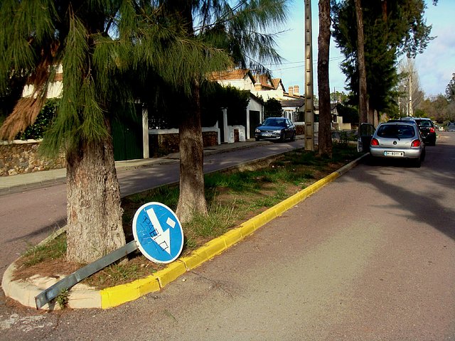 seAL CAIDA EN BELLA VISTA