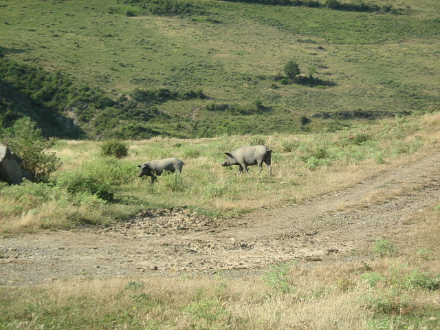 Soria-La Rioja 1.8.10 105