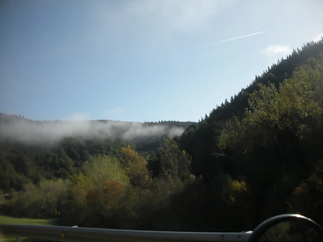 DSCN9972 DSCN9972
