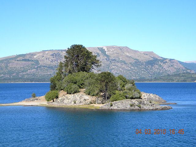 la isla frente a Villa Pehuenia, lago Alumine