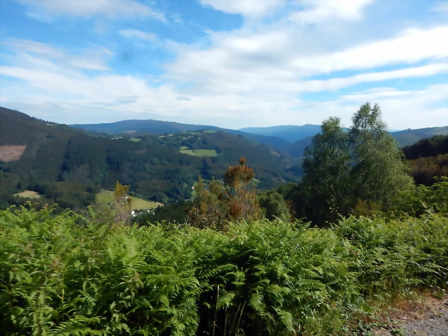 DSCN3207 DSCN3207