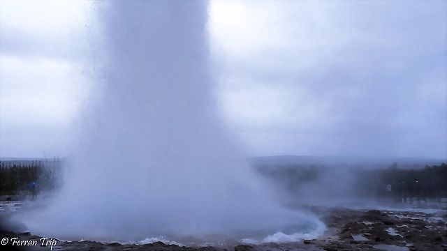 GEYSIR GEYSIR