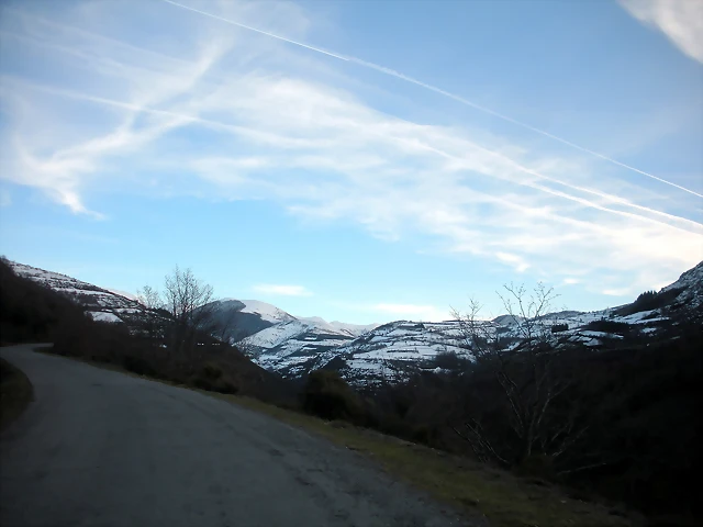 DSCN2555 DSCN2555