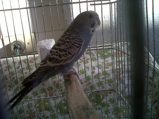 IMG00094-20100920-0642