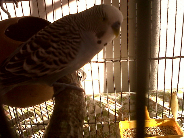 IMG00099-20100920-0655
