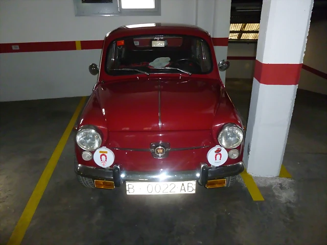 P1010344 P1010344